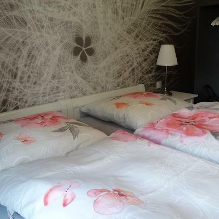 Buntspecht Apartman Braunlage Kültér fotó